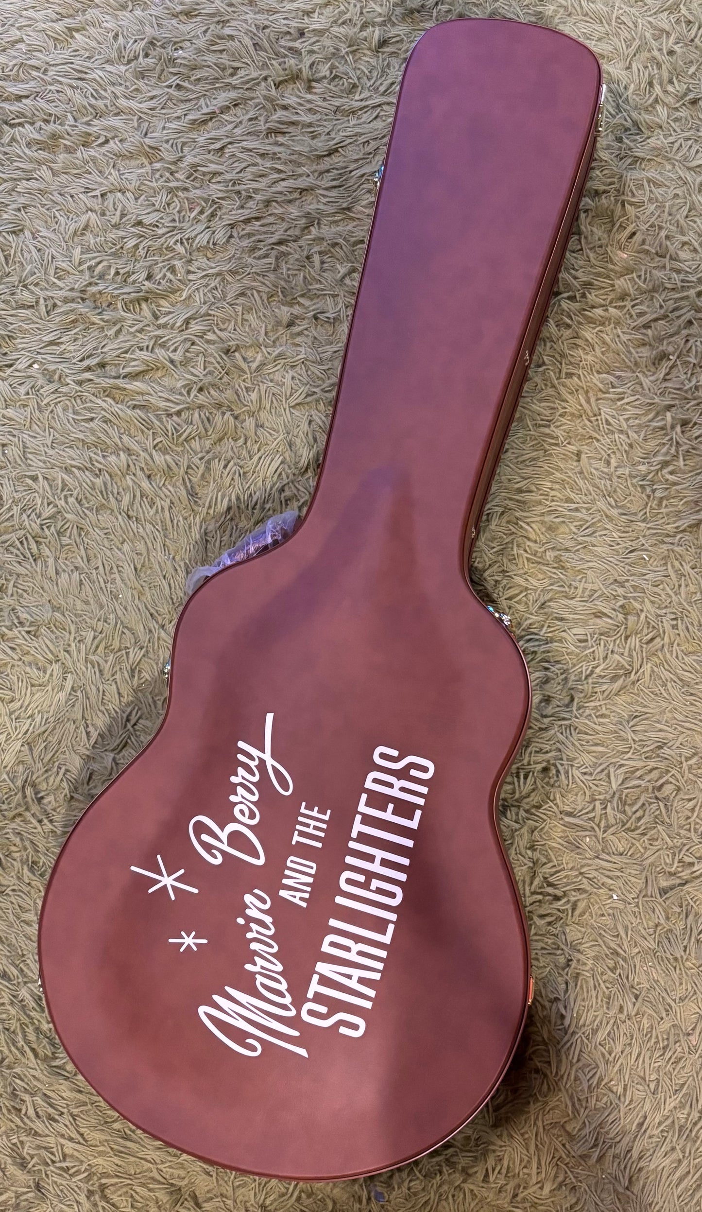 Used (Not really) Epiphone Back to the Future ES-345