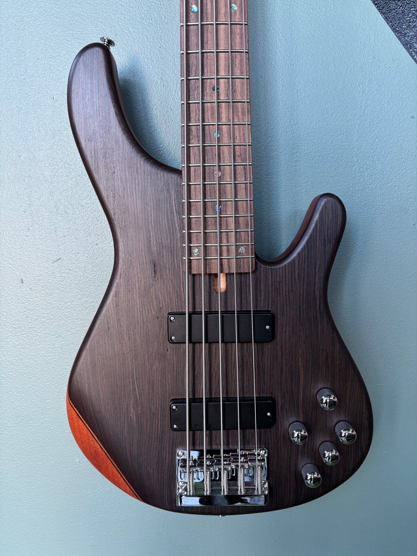 Tagima USA Millenium Top 5 Bass Guitar – Black