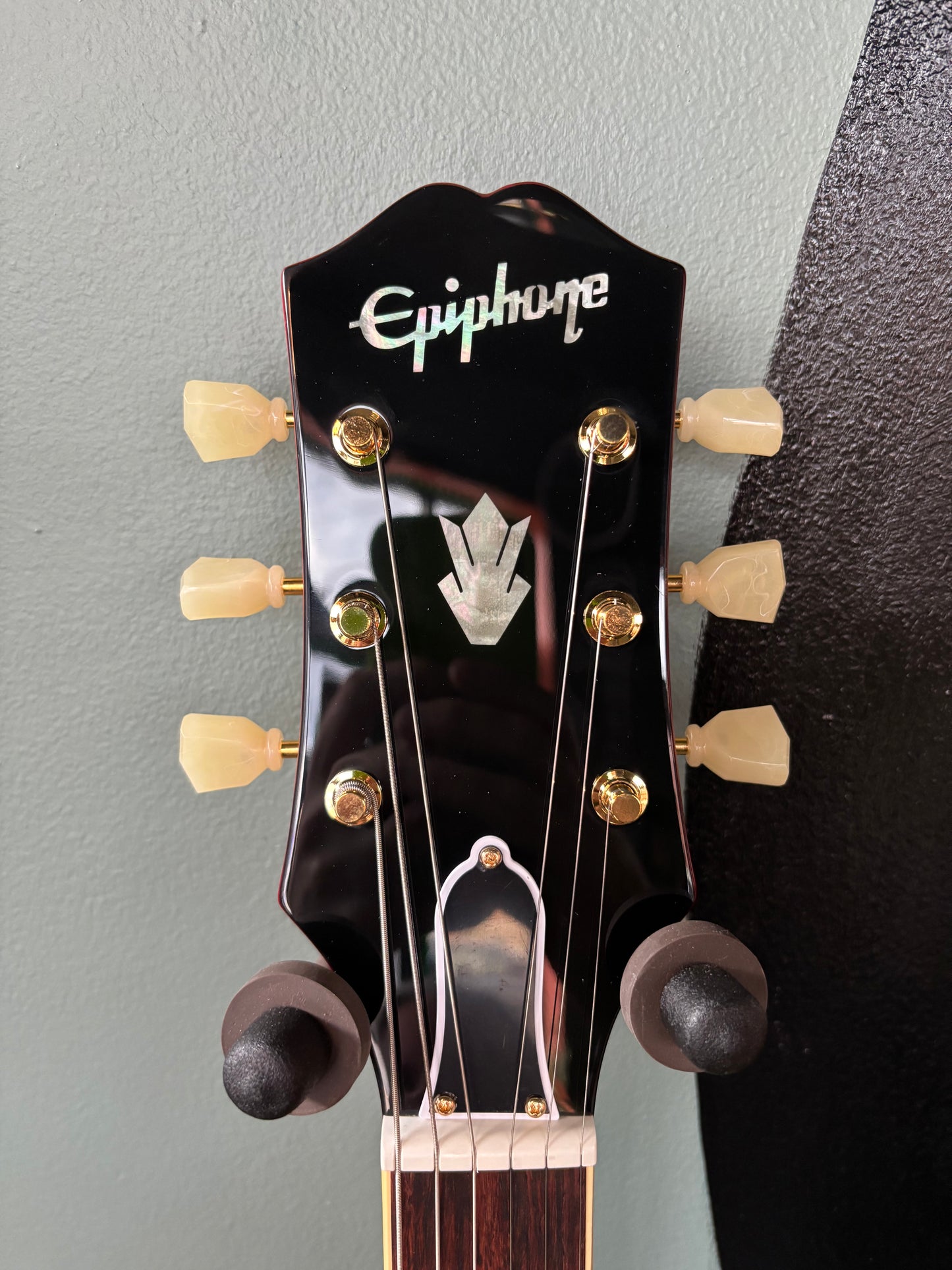 Used (Not really) Epiphone Back to the Future ES-345