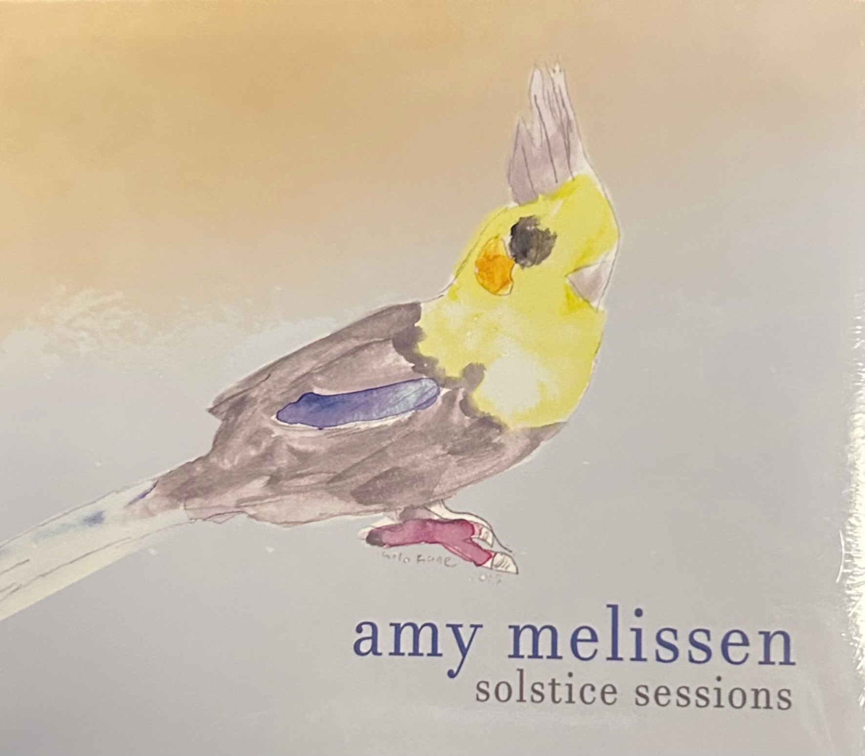 Solstice Sessions - Amy Melissen - CD - The Guitar Shop PGH