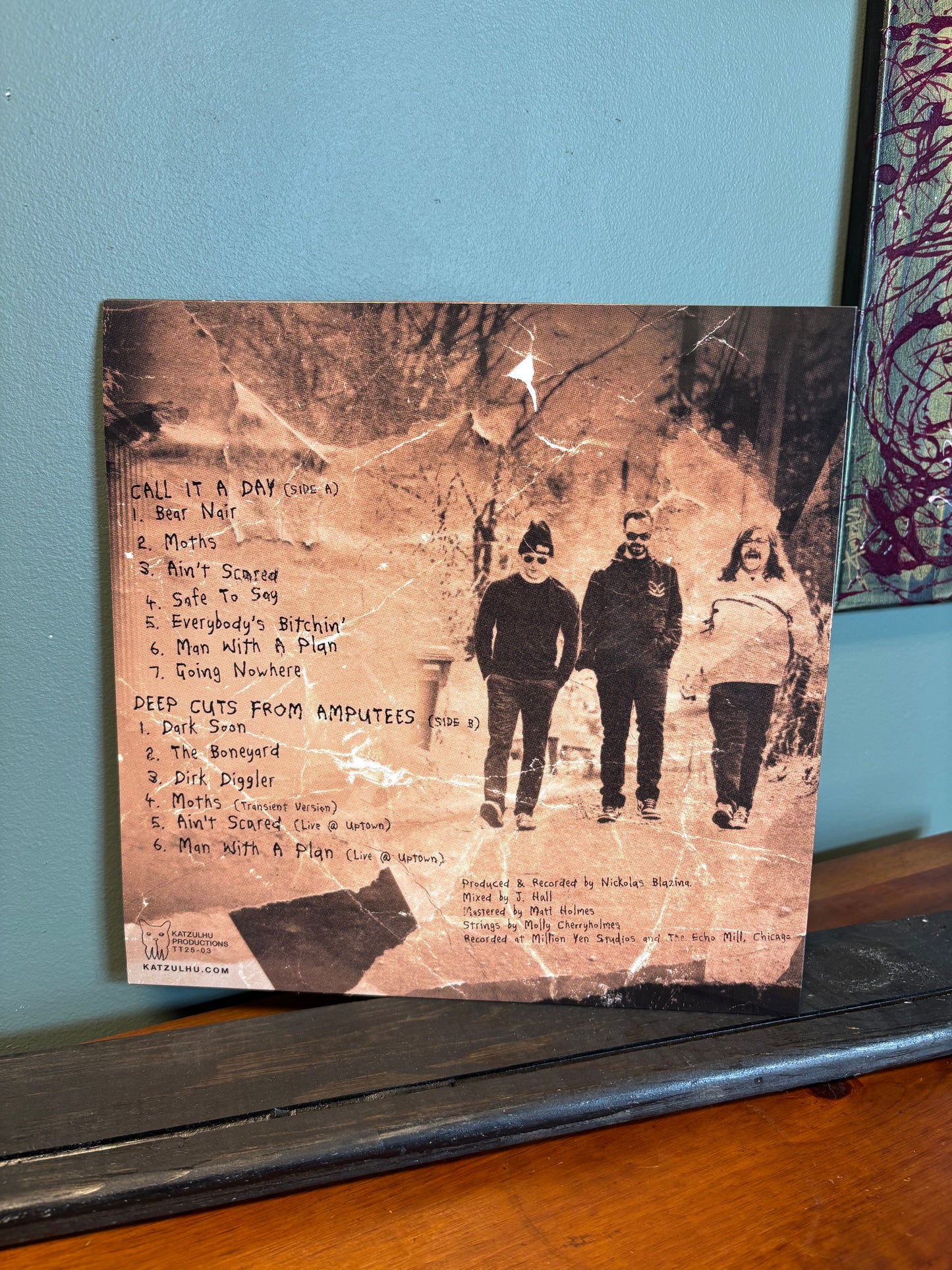 Radar Waves CALL IT A DAY Vinyl